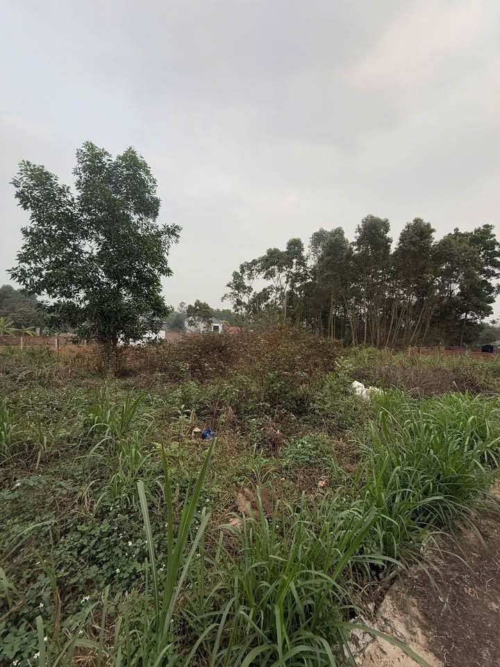 Đất nền liền kề khu 10 Kim Đức 84m² - 100% đất ở, giá thỏa thuận!