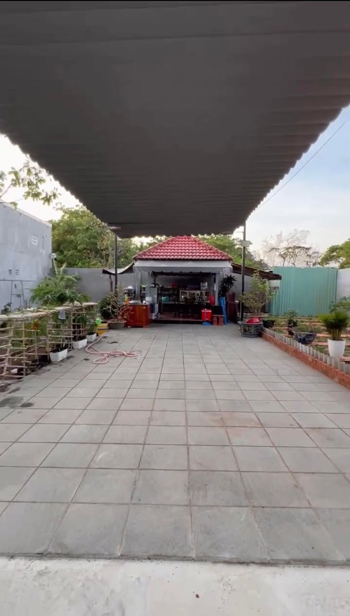 Nhà vườn 58 Nguyễn Gia Thiều, phường 12, TP Vũng Tàu 300m² giá 5.5 tỷ - Vị trí đắc địa, thuận lợi nghỉ dưỡng!