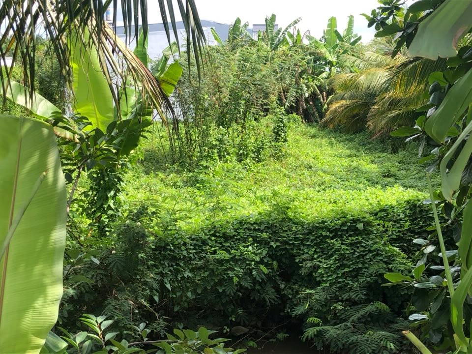 Bán đất 2 mặt tiền nhựa 90C – Mỹ Phong, TP. Mỹ Tho 570m² giá 4 tỷ - Đầu tư lý tưởng!