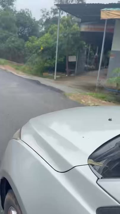 Đất nền Thủ Đức 1150m² giá 3 tỷ - Mặt tiền đường mòn HCM, cơ hội đầu tư hấp dẫn!