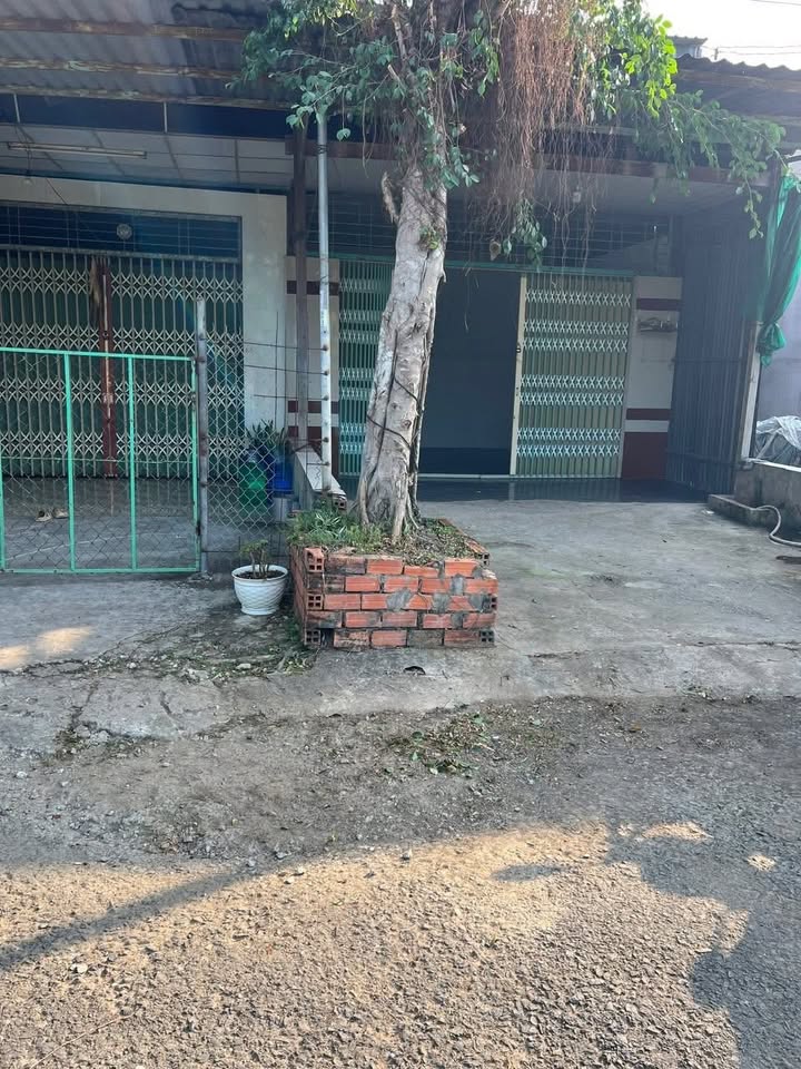 Nhà nguyên căn cho thuê tại Lai Vung - Giá chỉ 1.5 triệu/tháng - Tiện ích đầy đủ!