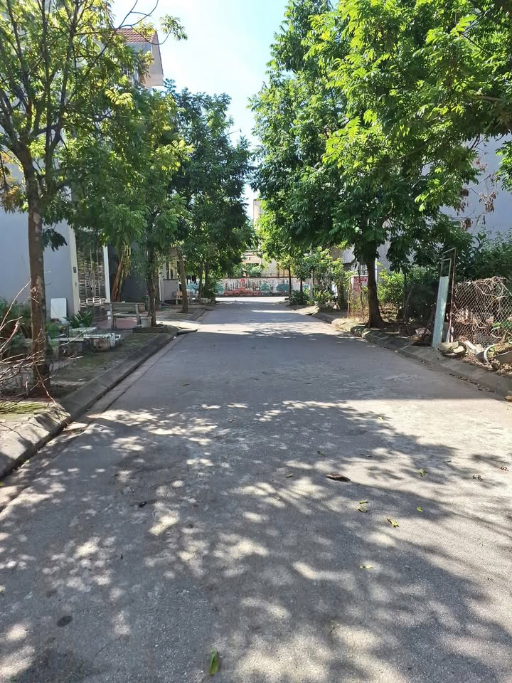 Đất phân lô phường Biên Giang Hà Đông 50m² giá chỉ 4 tỷ - Đầu tư sinh lời ngay!