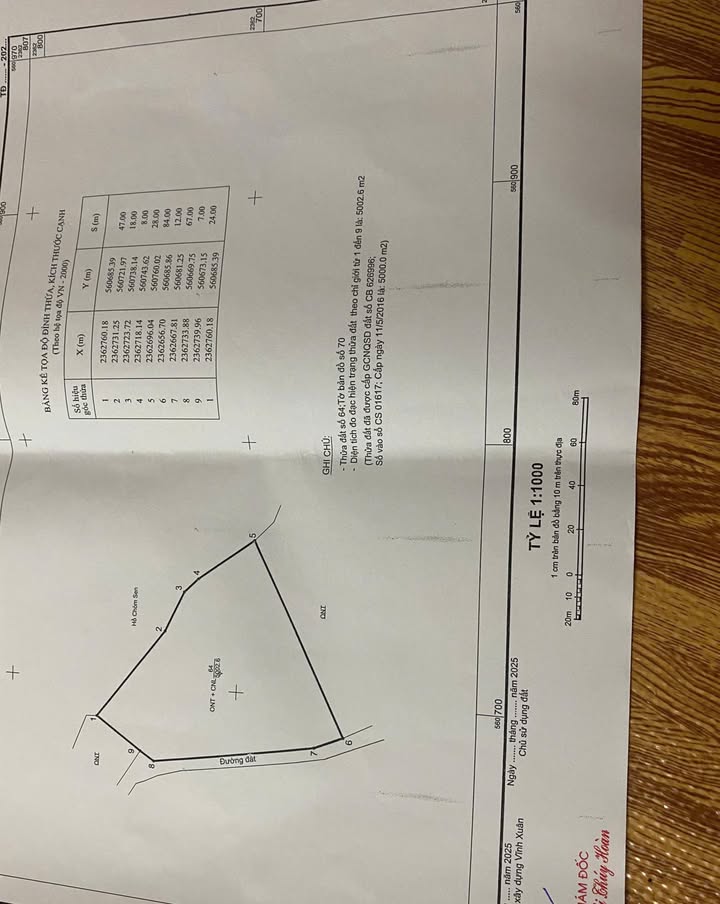 Đất Farm Hướng Đạo, Tam Dương 5000m² giá 25 tỷ - Tiềm năng đầu tư lớn!