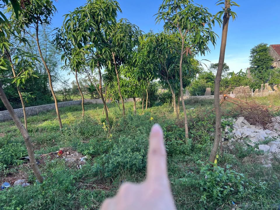 Đất nền Nghi Thái 98,3m² giá chỉ 1,3 tỷ - Cơ hội đầu tư tuyệt vời!