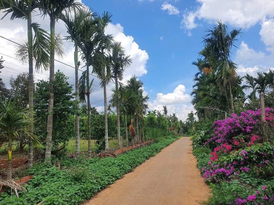 Đất Phú Xuân Krông Pắc 275m² giá 420 triệu - Cơ hội đầu tư tốt!