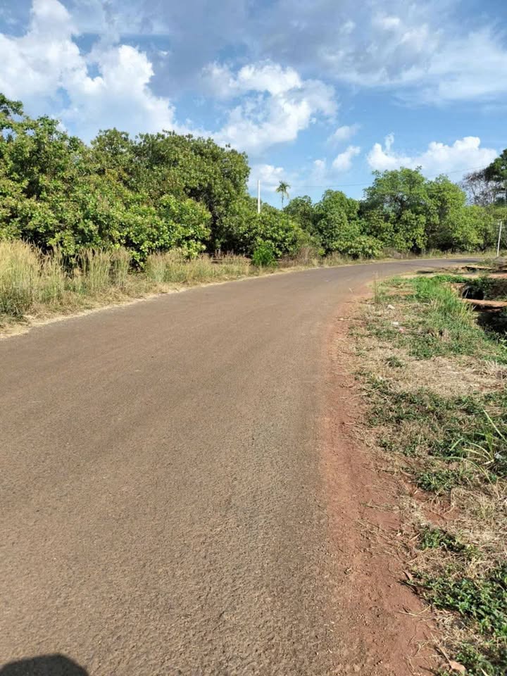 Đất farm 4,8ha Tân Phước, Đồng Phú - Mặt tiền đường nhựa đẹp, thương lượng giá tốt!