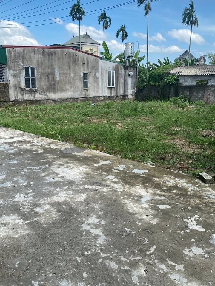 Đất thổ cư tại thôn Mỹ Ân, xã Chí Minh 250m² - Mặt tiền gần 15m, giá mềm!