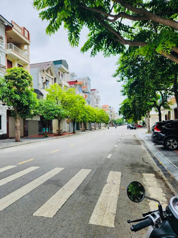 Đất dự án Đông Nam Cường Cẩm Giàng 68m² giá 5 tỷ - Cơ hội đầu tư hấp dẫn!