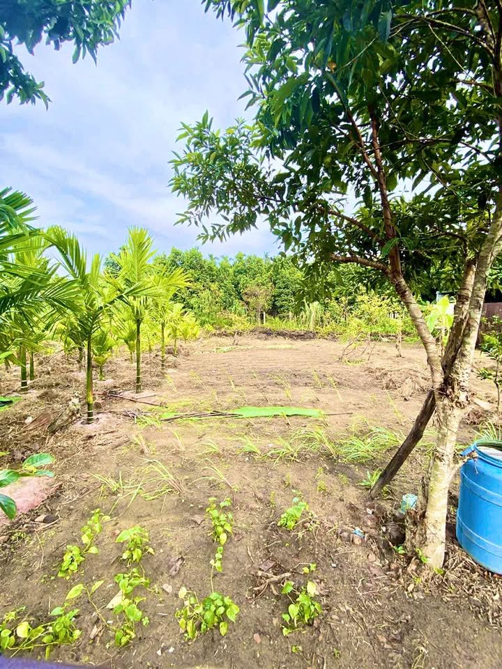 Đất hẻm 579 Nguyễn Công Phương 140m² giá 1 tỷ - Đầu tư sinh lời cao!