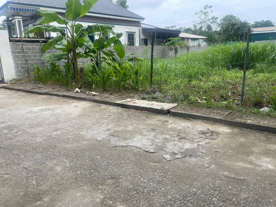 Đất nền Yên Phú, Yên Định 340m² giá 6 tỷ - Vị trí đắc địa, giao thông thuận lợi!