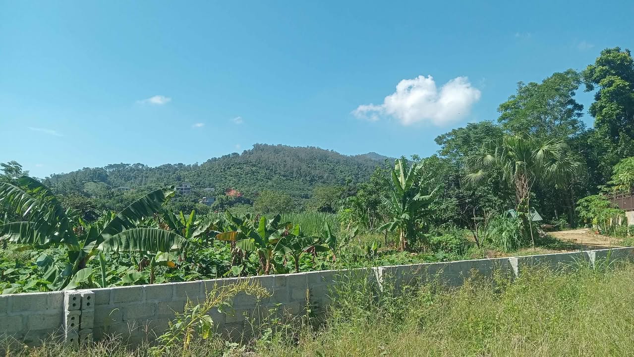 Đất nền Yên Bài, Ba Vì 700m² giá 5.25 tỷ - View Núi và Cánh Đồng