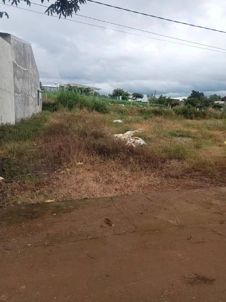 Đất nền Đinh Văn, Đức Trọng 300m² giá 1 tỷ - Gần chợ Bình Thạnh, cơ hội đầu tư tốt!