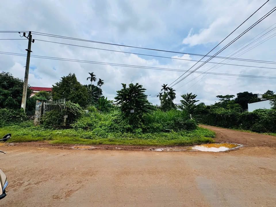 Đất mặt tiền Nguyễn Xuân Nguyên, Buôn Ma Thuột 165m² giá 2.49 tỷ - Đầu tư sinh lời ngay!