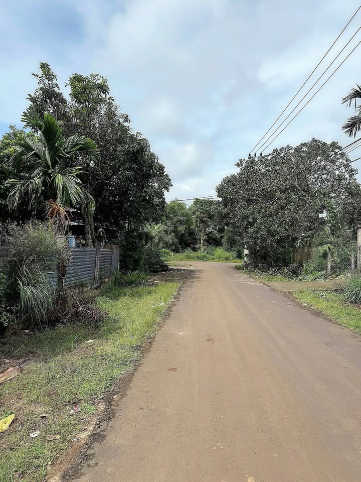 Đất nền chính chủ phường Ea Kao 150m² giá 880 triệu - Cơ hội đầu tư tuyệt vời!