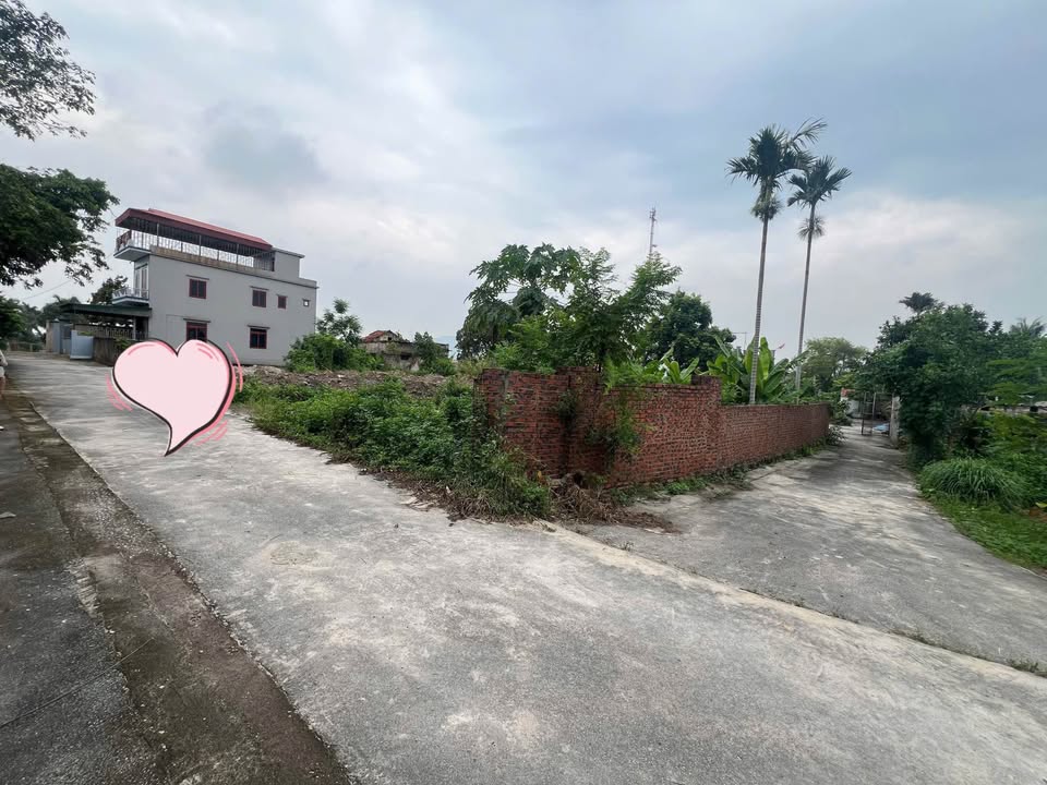 Đất nền Mạo Khê 128.8m² giá 1 tỷ - Đầu tư sinh lời cao!