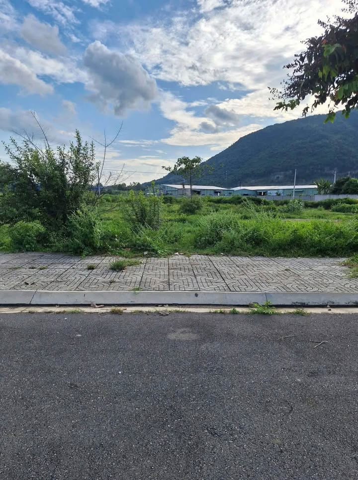 Đất nền Tân Hưng Bà Rịa 140m² giá 1 tỷ - Đầu tư sinh lời ngay!