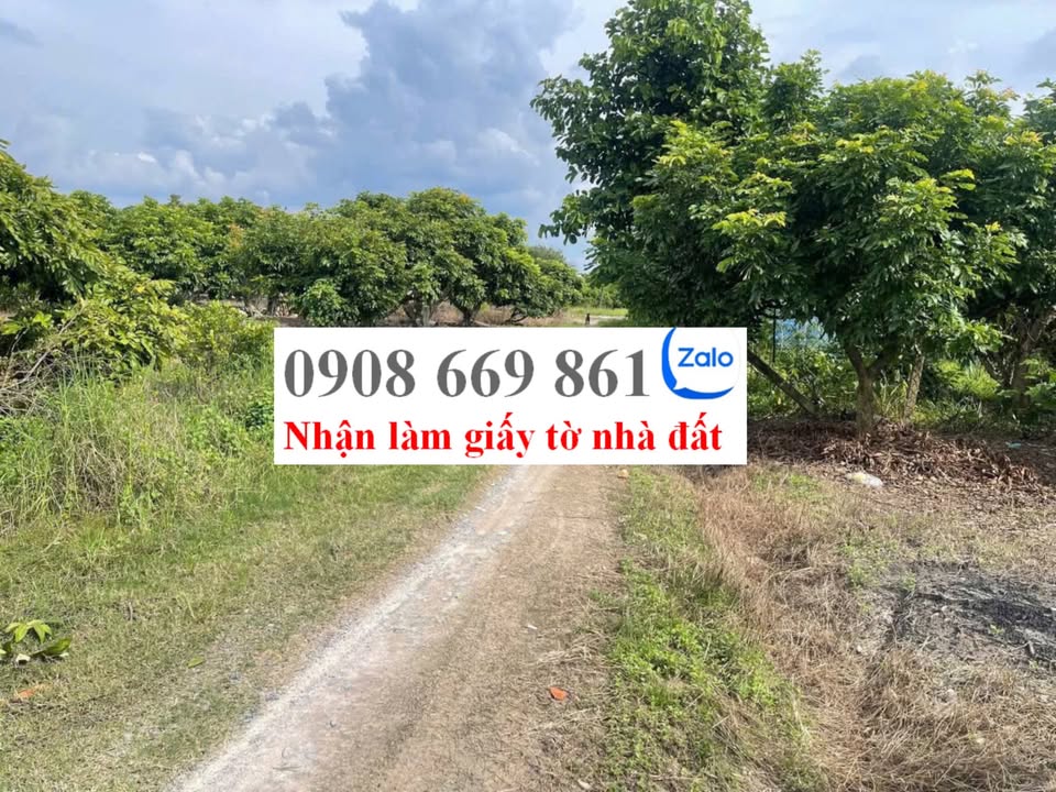 Đất nền Long Hoa Hòa Thành 1024m² chỉ 360 triệu - Cơ hội đầu tư hấp dẫn!