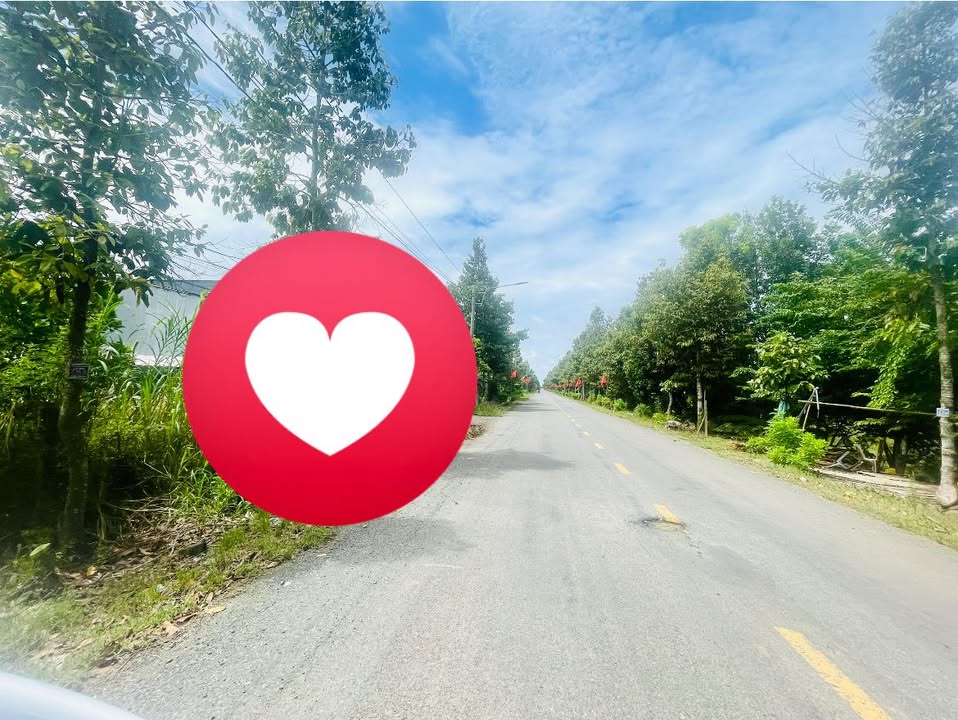 Đất nền mặt tiền đường tỉnh 831C, xã Thái Bình Trung, 663m² - Giá chỉ 1.6 tỷ!