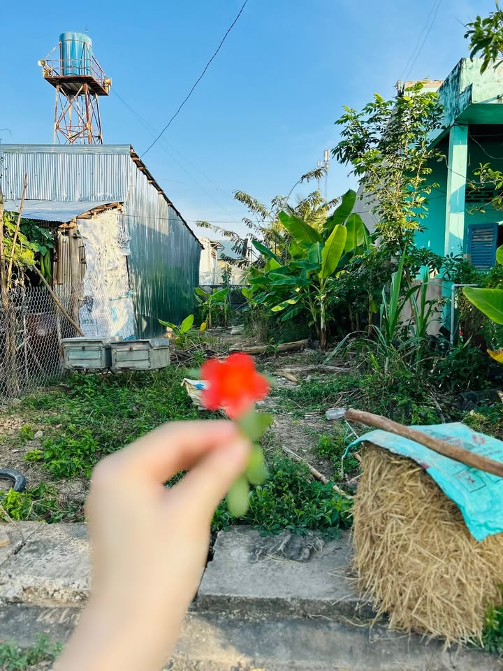 Đất nền chính chủ Tuyên Bình, Kiến Tường 100m² chỉ 250 triệu - Cơ hội đầu tư tuyệt vời!