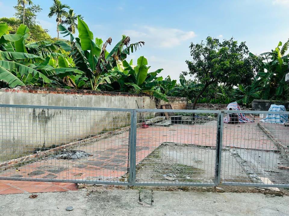 Đất nền Võng Xuyên, Phúc Thọ 80m² giá 2.4 tỷ - Ô tô đỗ tận sân!