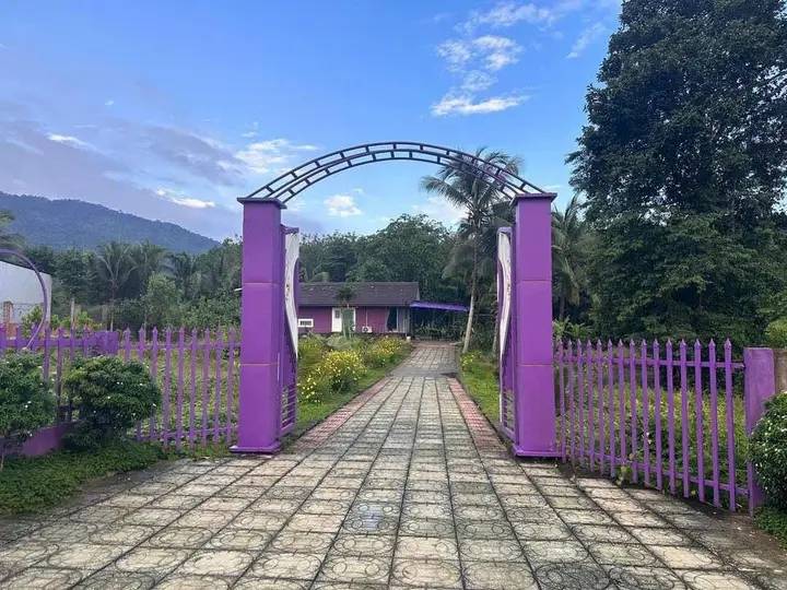 Đất thổ cư 2264m² tại Đức Thuận, Tánh Linh - Giá 1.5 tỷ, cơ hội đầu tư tuyệt vời!