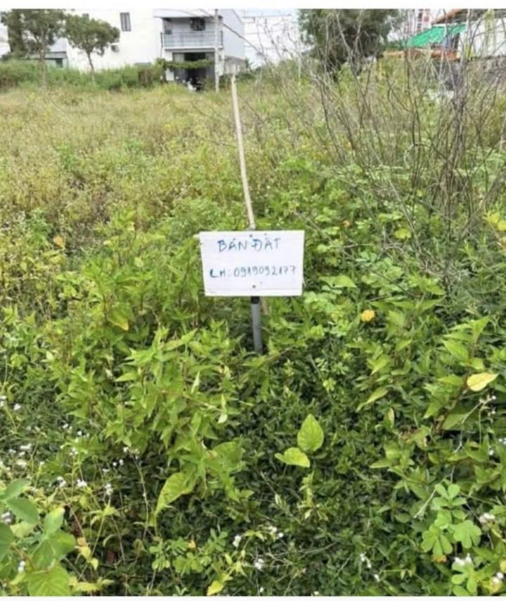 Đất nền đẹp Đường số 3, Mỹ Hòa, Long Xuyên 63m² giá 1.5 tỷ - Cơ hội đầu tư vàng!