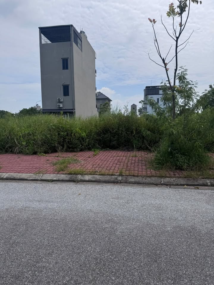 Đất nền Kim Chân Bắc Ninh 90m² giá thỏa thuận - Đường rộng, thoáng mát!