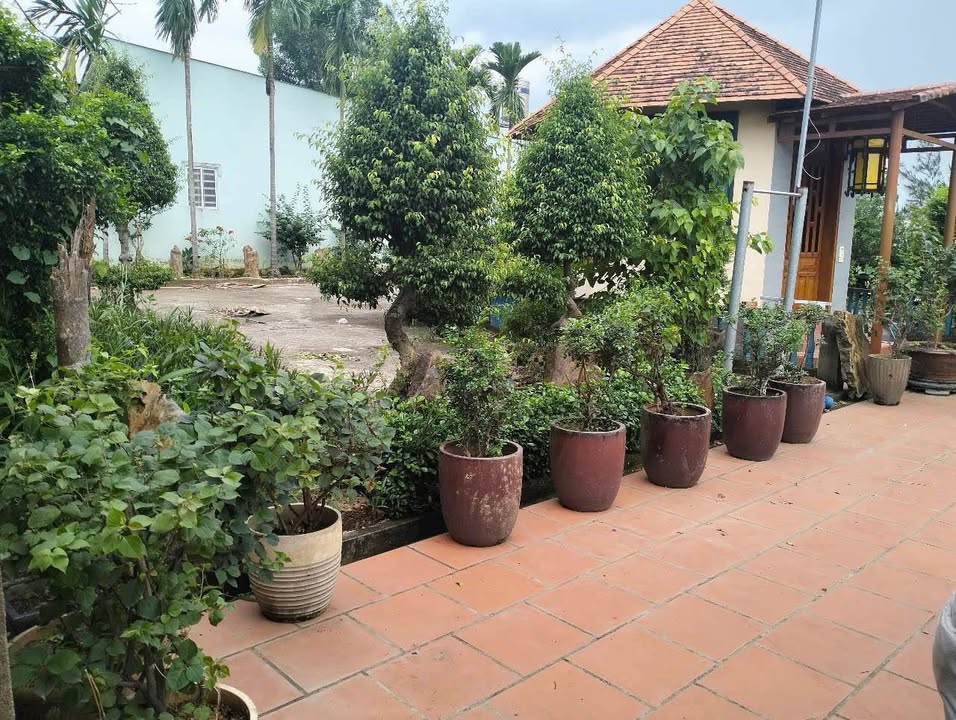 Nhà vườn cho thuê tại Khu phố 4B, phường Trảng Dài, 1000m² - Không gian lý tưởng cho quán cafe!