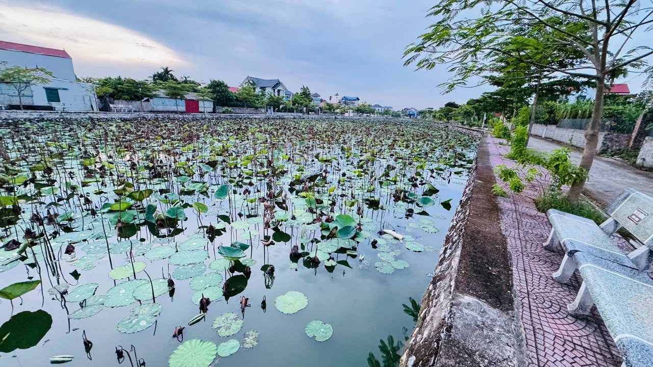 Đất nền thôn Văn Cao, xã Vân Đình, 80m² giá 2 tỷ - Lô góc, tiện ích đầy đủ!