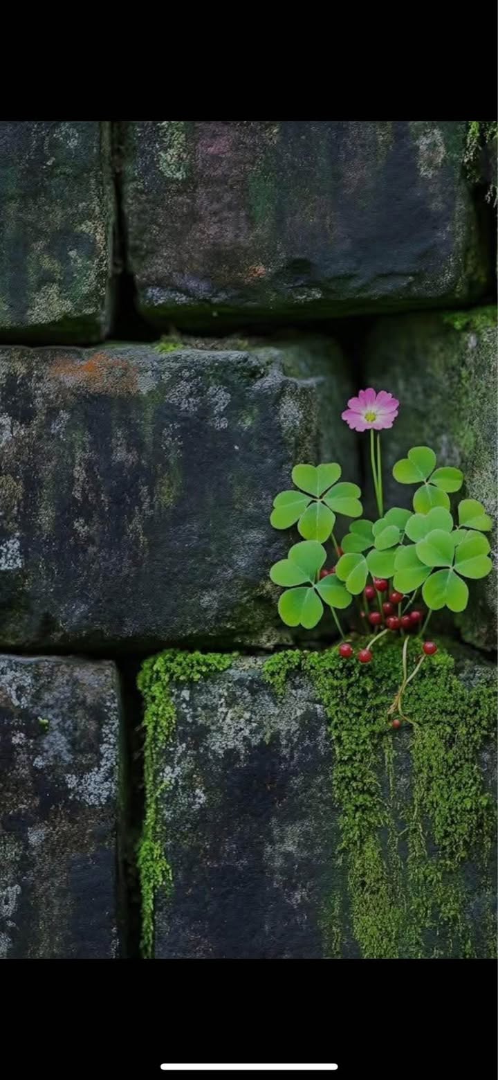 Lô đất hẻm 921 đường Bình Giã, Vũng Tàu 110m² - Sổ đỏ chính chủ, giá 1.95 tỷ!