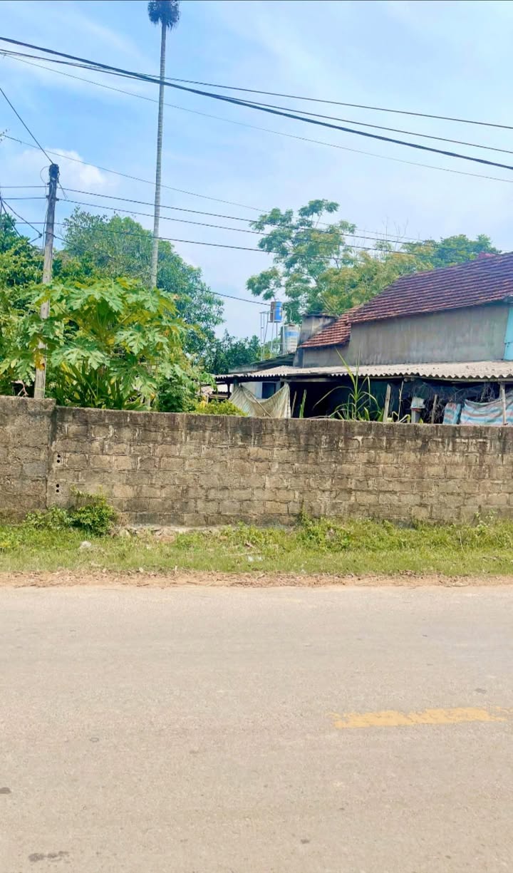 Đất nền Nghĩa Đàn 210m² giá chỉ 8 triệu - Cơ hội đầu tư hấp dẫn!