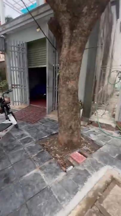 Đất chính chủ phố Nguyễn Trung Ngạn 168m² giá 3 tỷ - Cần bán gấp!