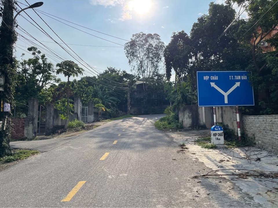 Lô đất Hợp Châu Tam Đảo 125m² giá 1.4 tỷ - Đường chính, gần trường học!