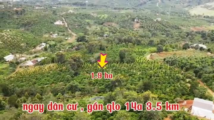 Lô đất rẫy Trường Xuân Đắk Nông 1.9ha giá 3.3 tỷ - Tiềm năng sinh lời cao!