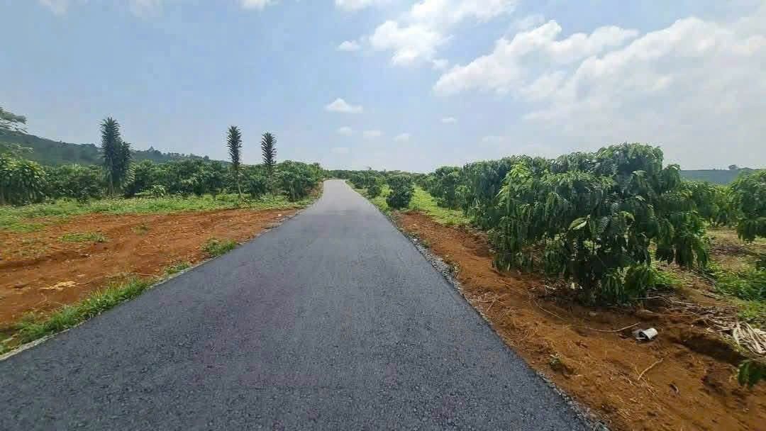 Đất nền đường Phùng Hưng, phường Lộc Tiến, 500m² chỉ 500 triệu - Cơ hội đầu tư tuyệt vời!