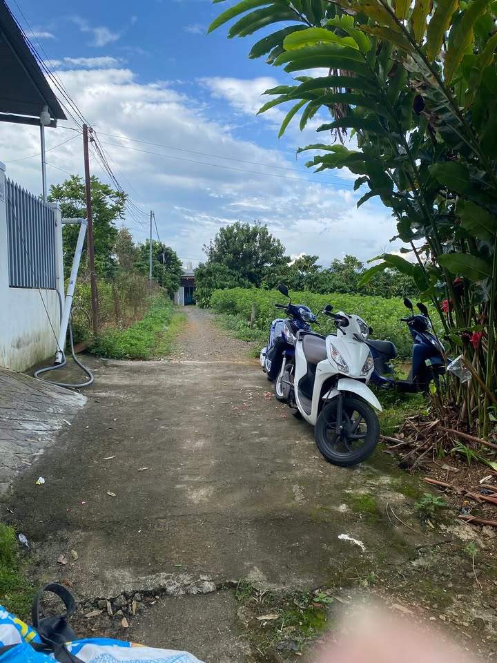 Đất nền Bảo Lộc 176m² giá 1.6 tỷ - Đầu tư sinh lời ngay hôm nay!