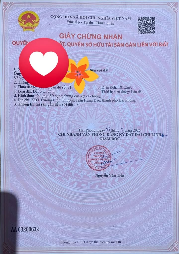 Đất nền khu đô thị Trường Linh - Hải Phòng 181m² giá tốt - Đầu tư sinh lời ngay!