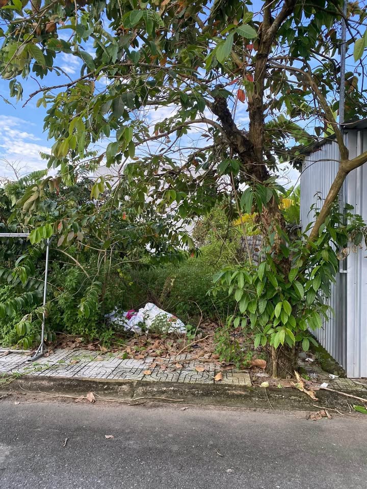 Đất nền Khu dân cư An Nhiên, Tân An, 96.35m² - Giá chỉ 1.05 tỷ, Xây dựng tự do!