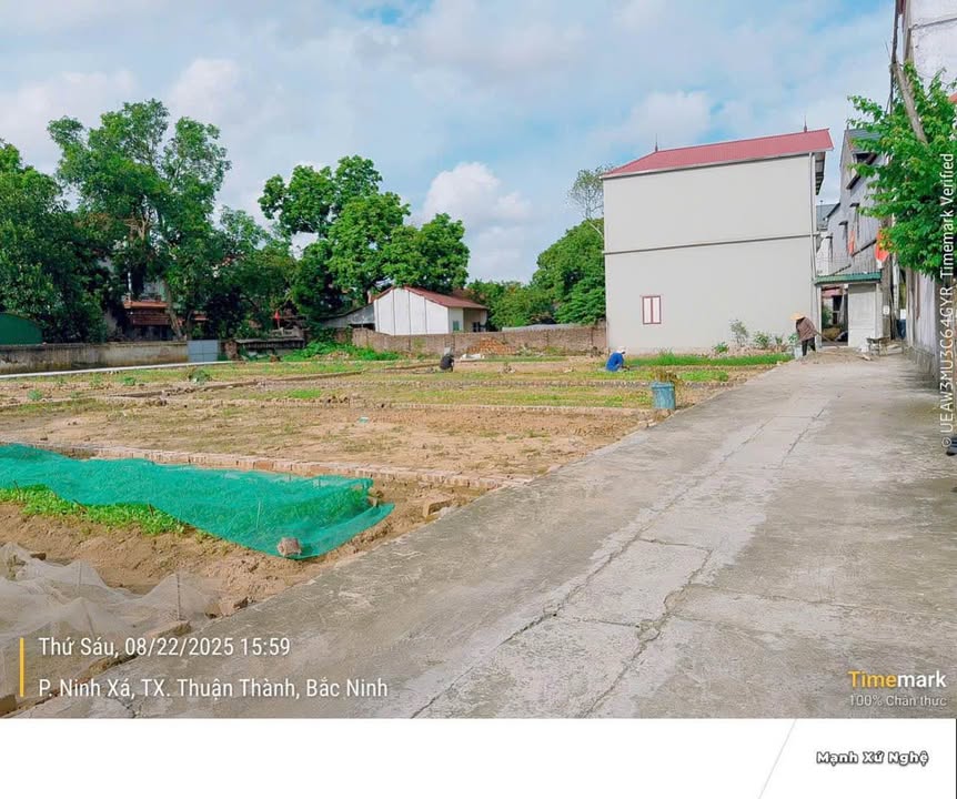 Đất nền 60m² Ninh Xá, Thuận Thành - Cơ hội đầu tư vàng!