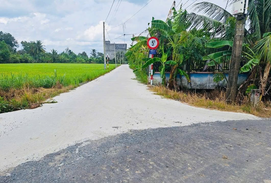 Đất thổ cư 1000m² Nhựt Chánh, Bến Lức - Giá 4.6 tỷ - Sổ hồng riêng!