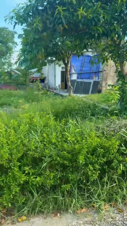 Đất thổ cư thôn Đông Hạ, xã Cẩm Vịnh 110m² giá 1.4 tỷ - Đầu tư sinh lời ngay!