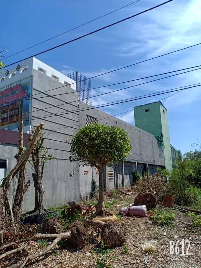 Nhà mặt tiền đường Cao Văn Lầu, Bạc Liêu 573,75m² - Vị trí đắc địa, tiềm năng phát triển