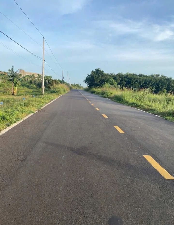 Đất nền mặt tiền 992 Long Tân 540m² giá 1.4 tỷ - Đầu tư sinh lời cao!