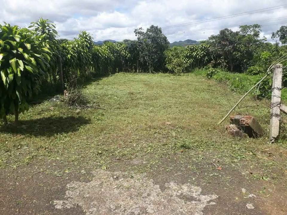 Đất nông nghiệp 161m² hẻm 412 Phan Đình Phùng, Bảo Lộc - Giá 1.25 tỷ, thương lượng chính chủ!