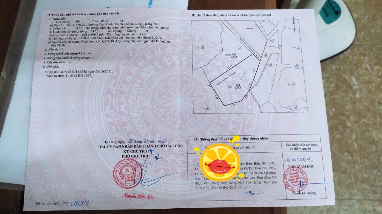 Đất nền Cao Xanh Hạ Long 247m² giá 800 triệu - Cơ hội đầu tư sinh lời!