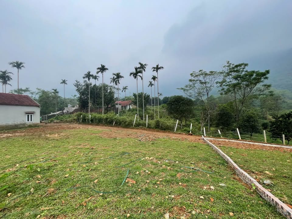 Đất nền Yên Bình Thạch Thất 980m² giá chỉ 7.6 tỷ - Cơ hội đầu tư tuyệt vời!