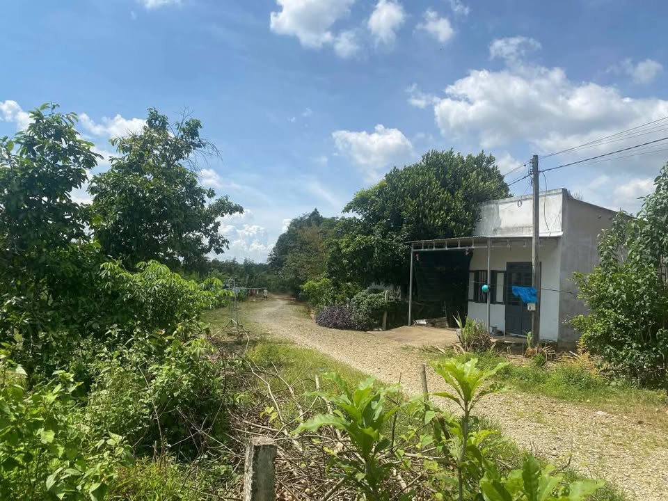 Đất vườn 2,4 hecta tại Mađaguôi, Lâm Đồng chỉ 5.5 tỷ - Cơ hội đầu tư lý tưởng!