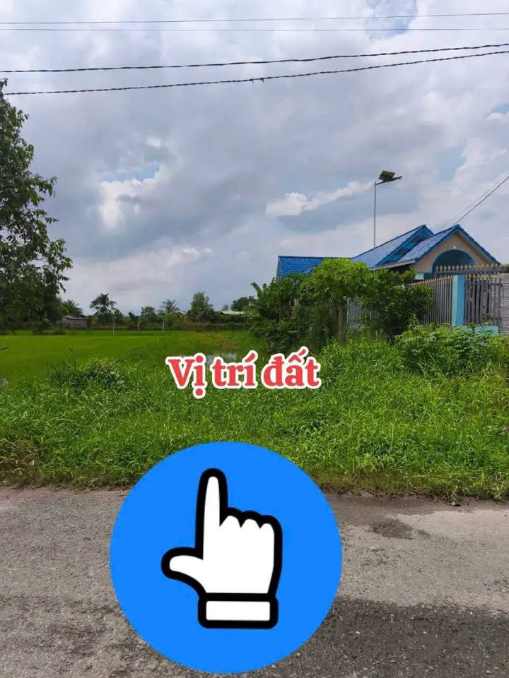 Bán gấp FrontHouse mặt tiền Giồng Lớn, xã Mỹ Hạnh, 255m² giá 1.79 tỷ - Vị trí kinh doanh lý tưởng!