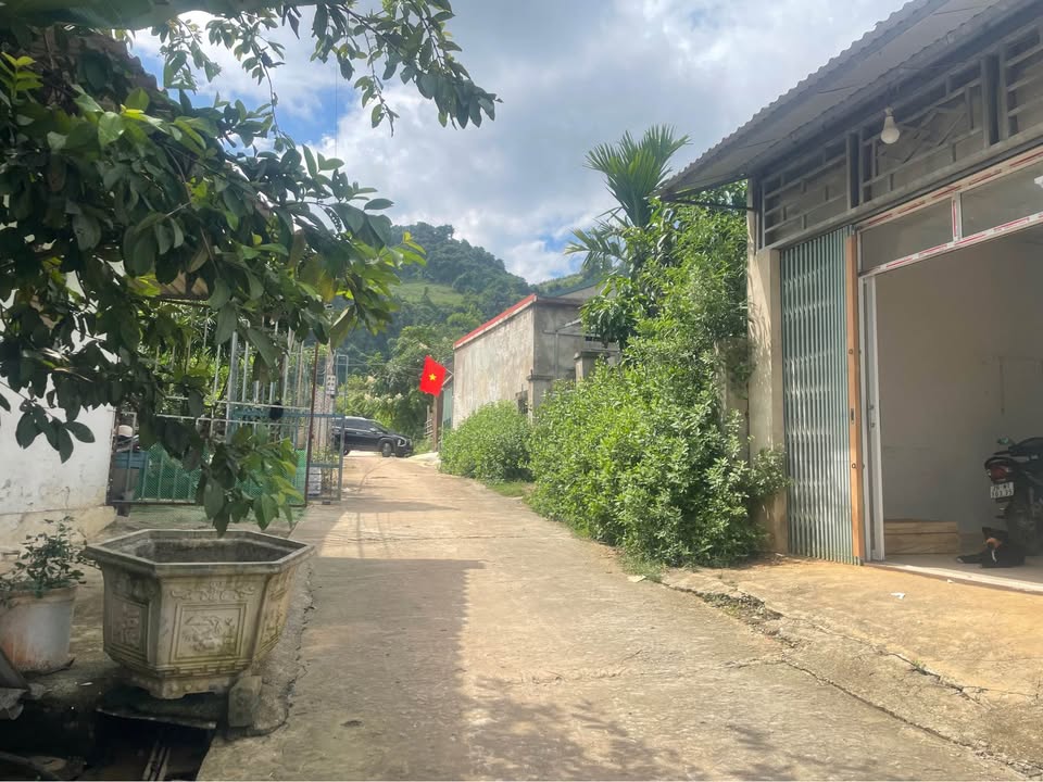 Đất nền Chiềng Sinh 255m² giá chỉ 500 triệu - Cơ hội đầu tư tuyệt vời!