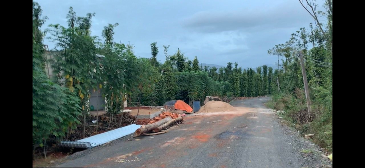 Đất nền chính chủ tại Đá Bạc, Châu Đức 10.000m² giá 2 tỷ - Đầu tư tiềm năng sinh lời!